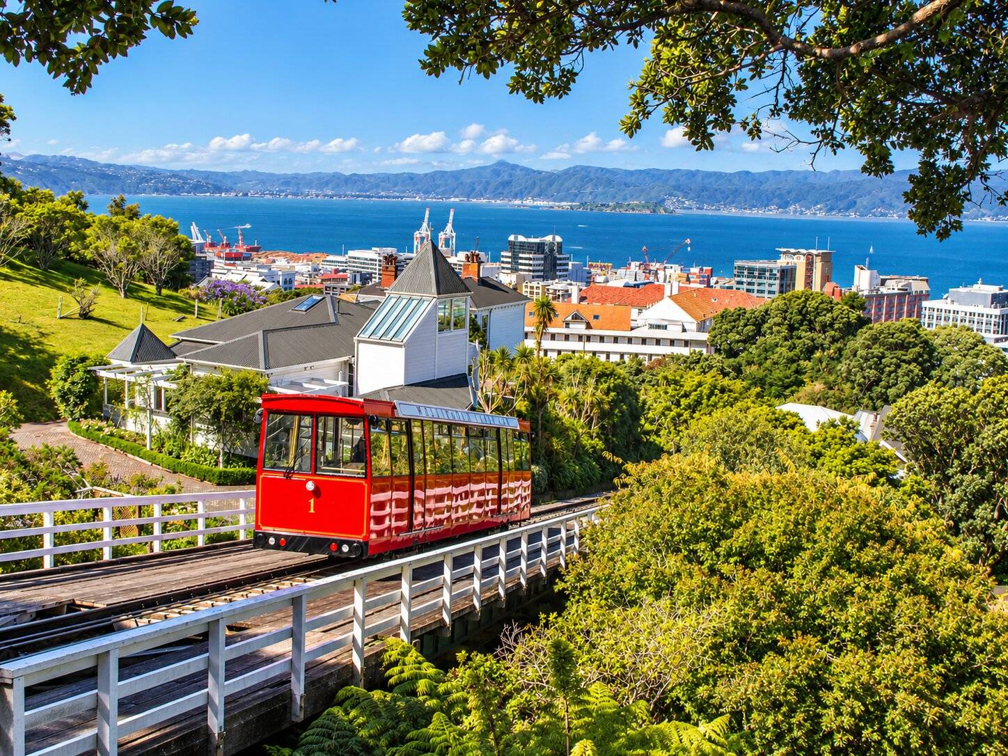 A Tram in New Zealand